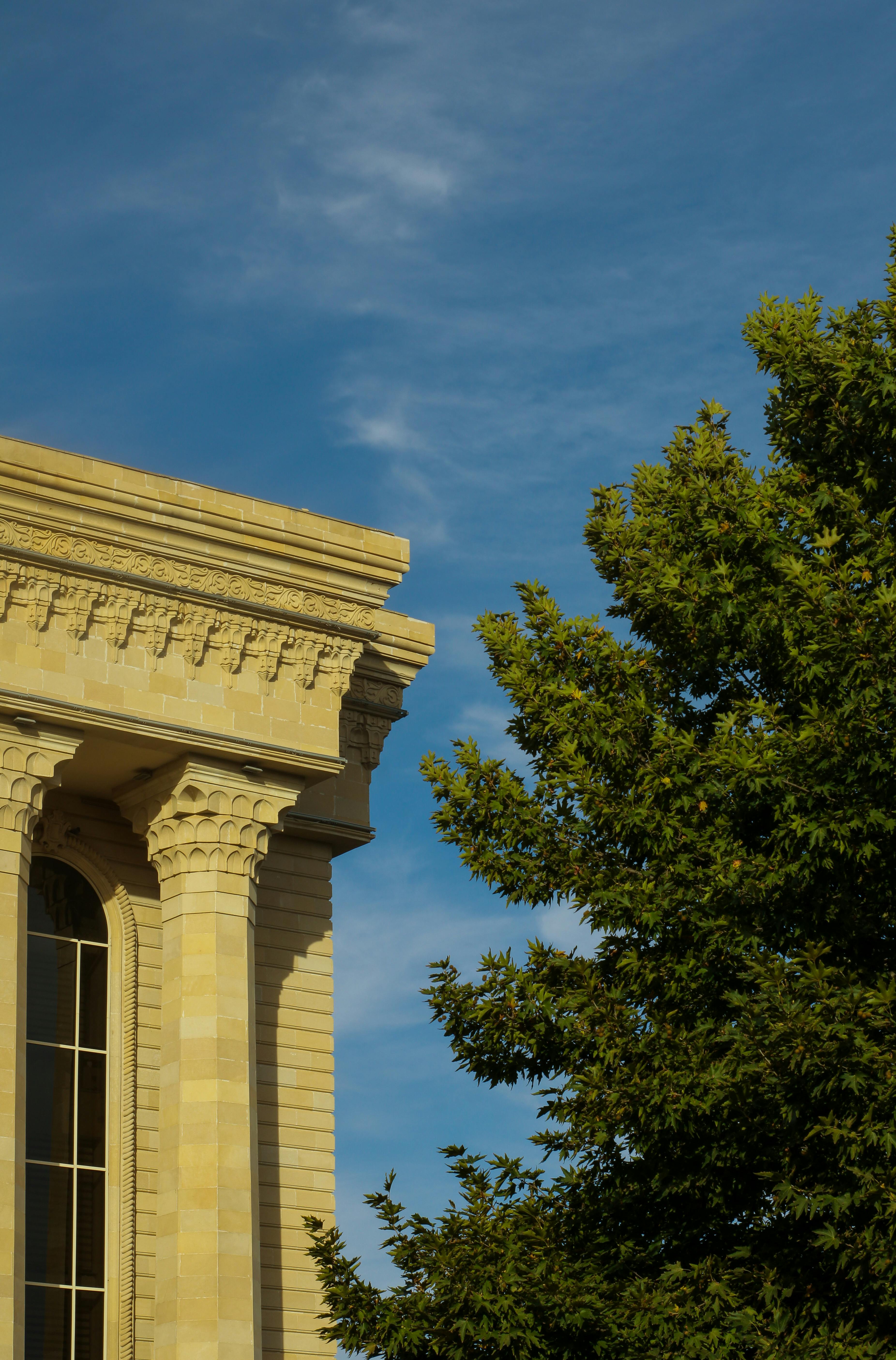 Free Sunlit ornate column of a neoclassical building with lush green tree under clear blue sky. Stock Photo