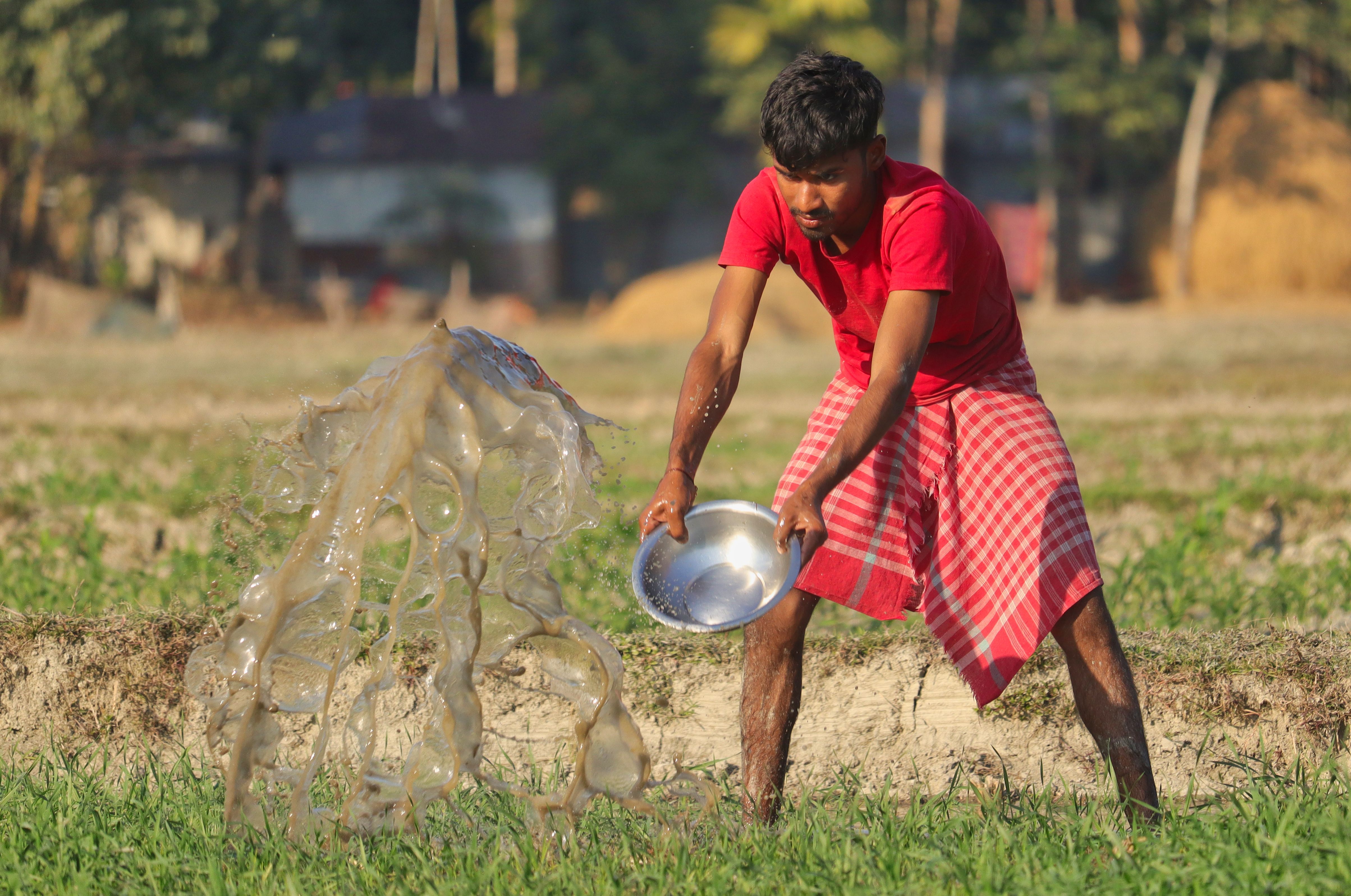 A young farmer uses a metal bowl to water crops in a vibrant rural field setting.