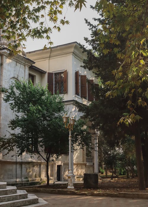 Trees near Building in Istanbul