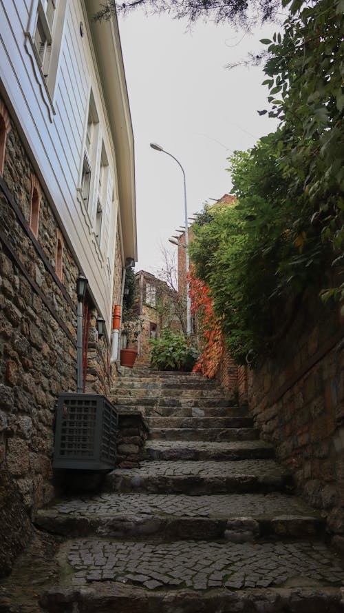 A narrow alley with steps leading up to a house