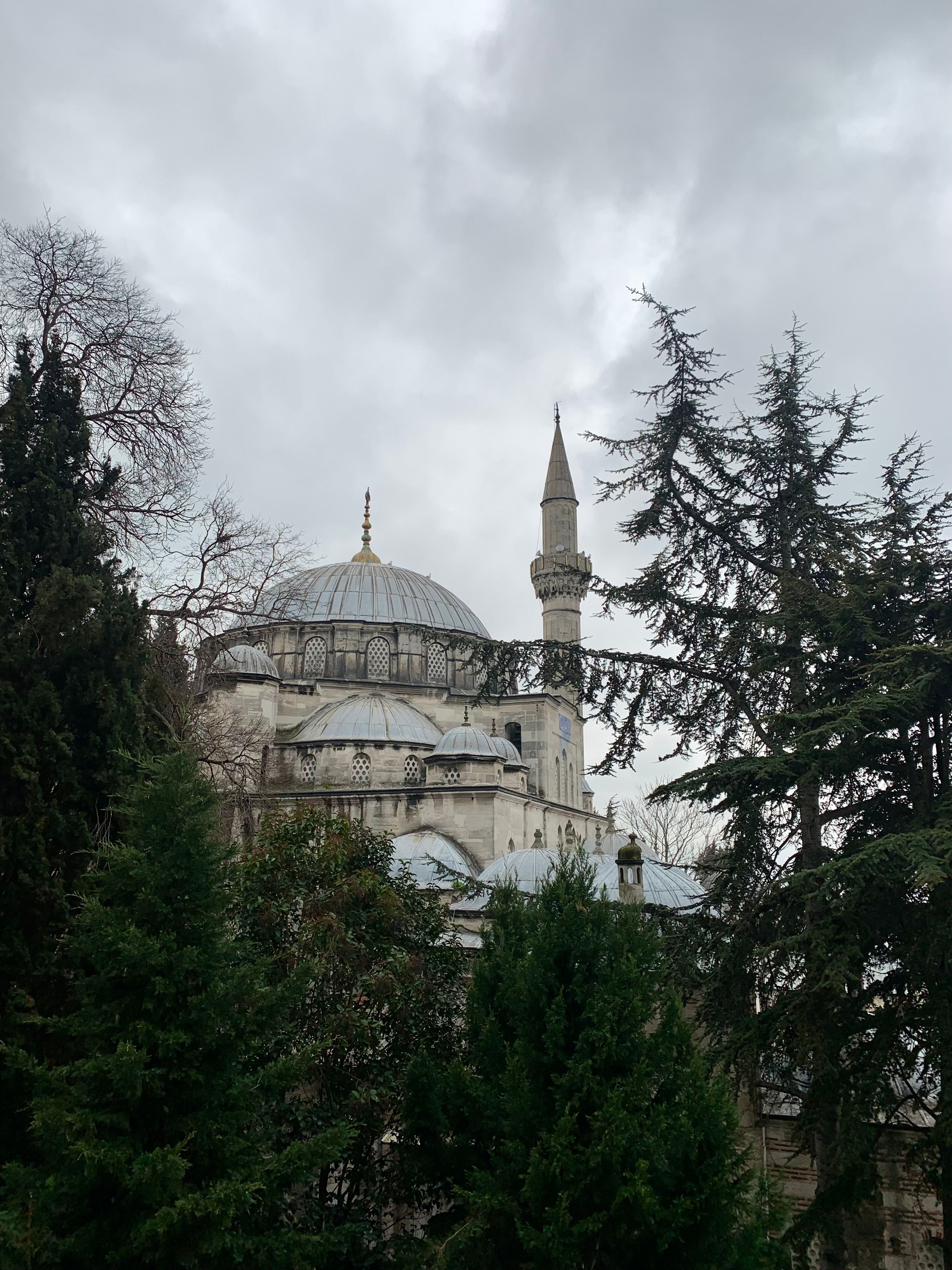 View of Sokollu Mehmet Pasha Mosque surrounded by trees in Fatih, Istanbul.