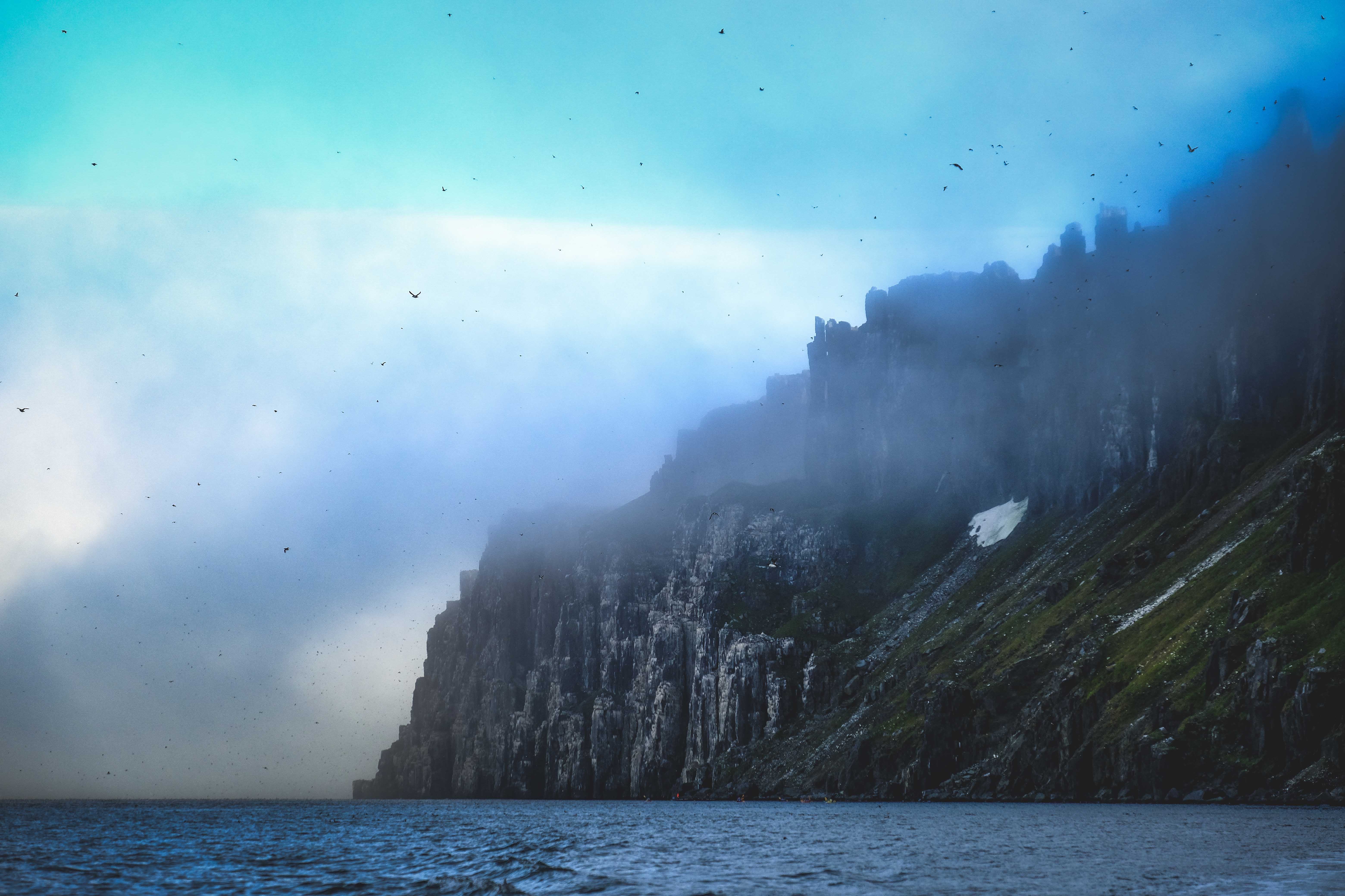 Stunning view of foggy bird cliffs along Norway's coastline, capturing rugged natural beauty.