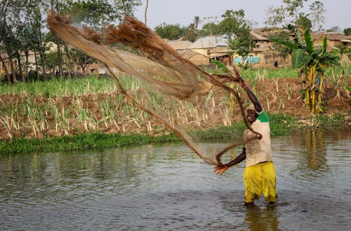 Fisherman Casting Net Standing in the River