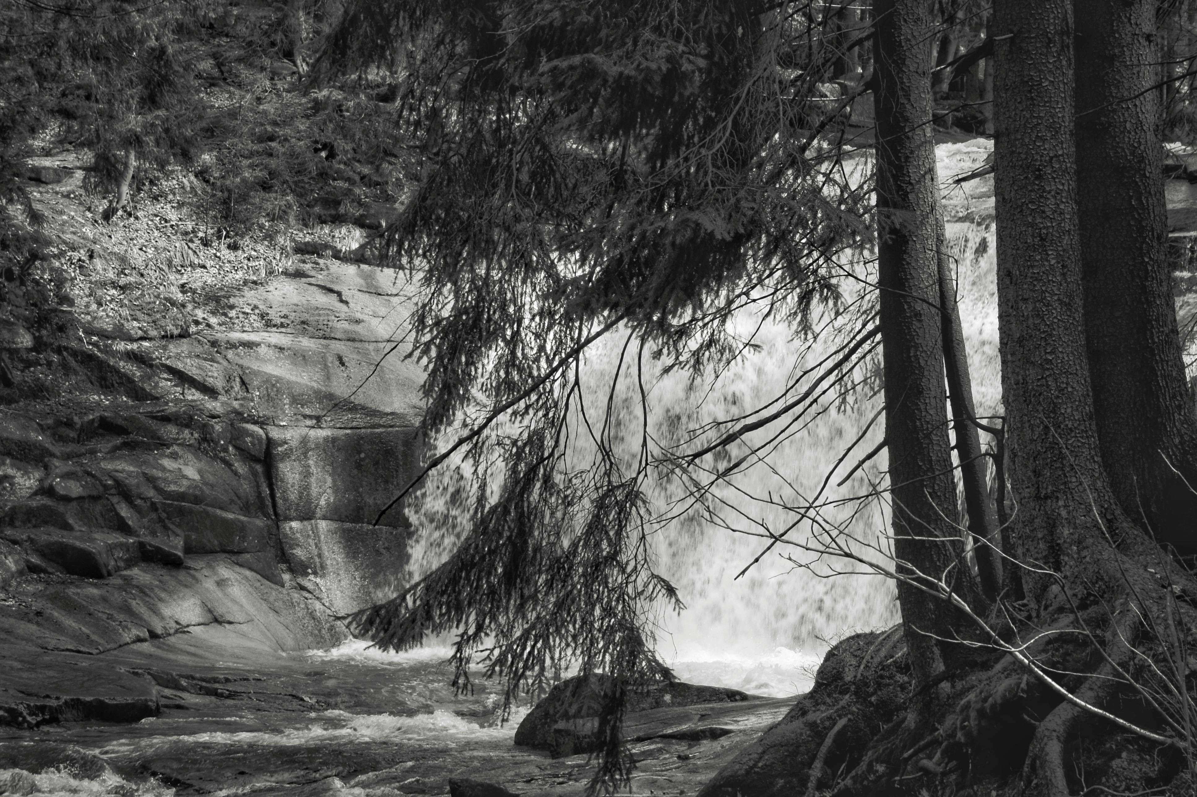Monochrome and grayscale photos. 380 Photos & Videos Collected by ...