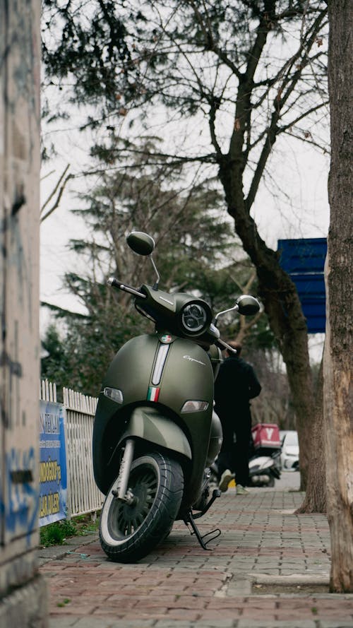 Imagine de stoc gratuită din arbore, focalizare selectivă, fotografiere verticală