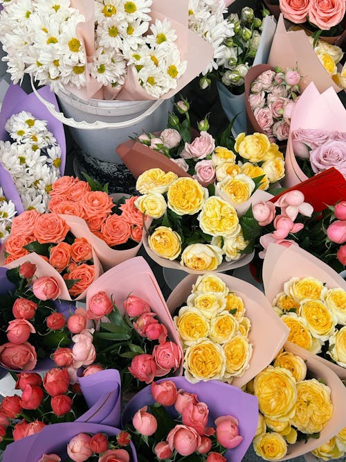 Fotobanka s bezplatnými fotkami na tému kvety, kytice, ruže