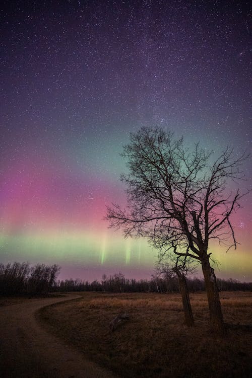 Ingyenes stockfotó aurora borealis, celebek, csillagászat témában