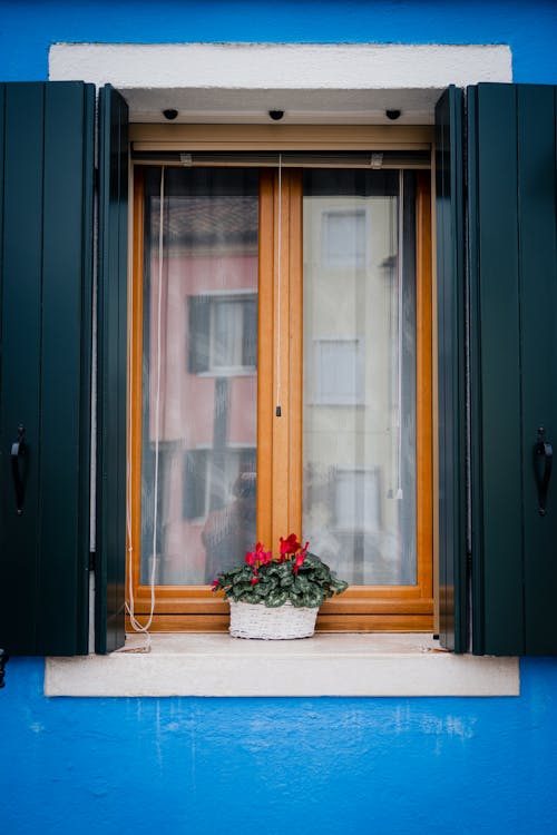 A window with green shutters and a flower pot