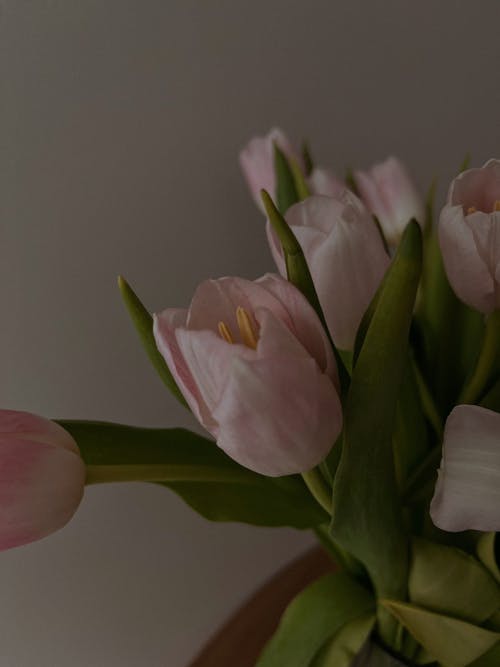 A vase of pink tulips on a table