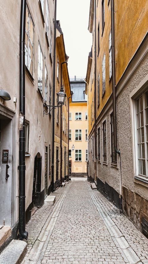 Základová fotografie zdarma na téma budovy, dlažební kostka, města