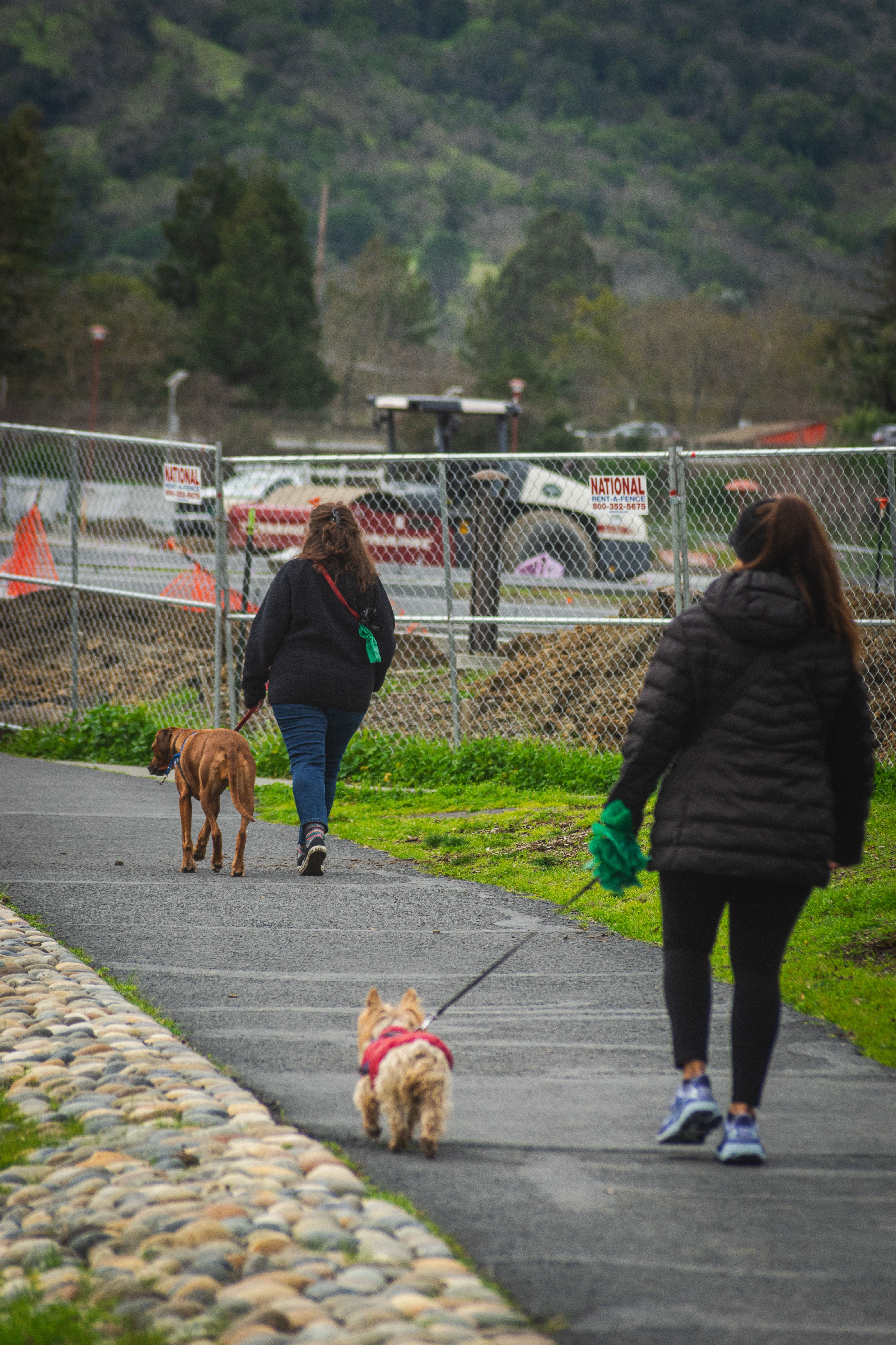 Two women walking dogs along a scenic path surrounded by lush greenery.