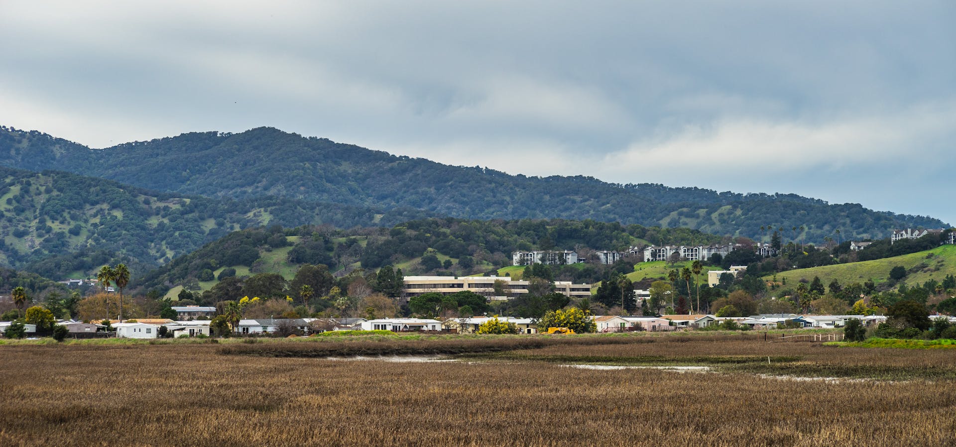 Picturesque rural landscape featuring homes nestled against rolling hills.