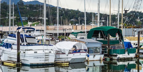 Δωρεάν στοκ φωτογραφιών με αγκυροβολημένος, βάρκες, ιστία