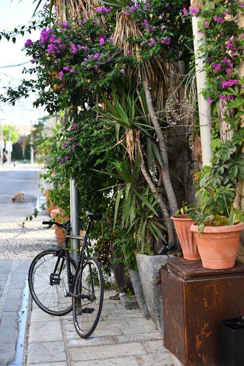 Foto profissional grátis de bicicleta, calçada, calçadas