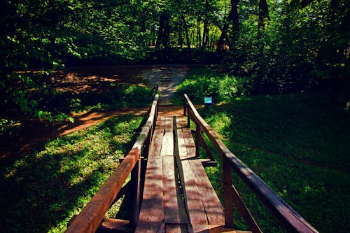 ゴールデンアワーの間に森の近くの茶色の木造橋