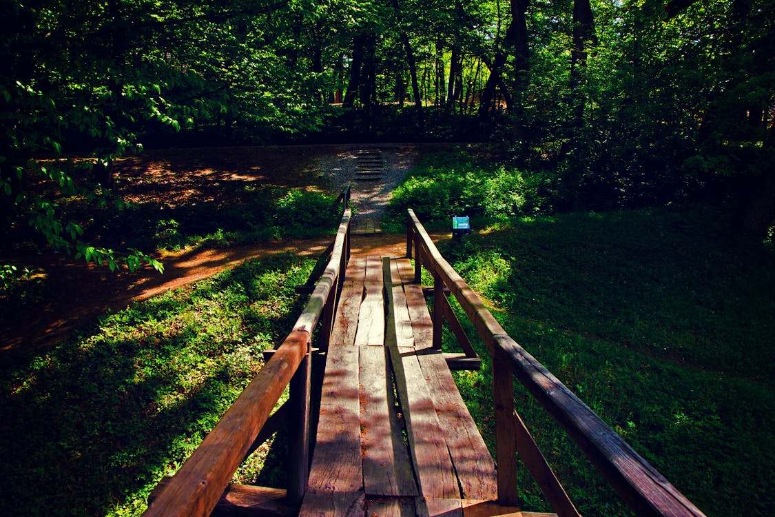 무료 황금 시간 동안 숲 근처 갈색 나무 다리 스톡 사진