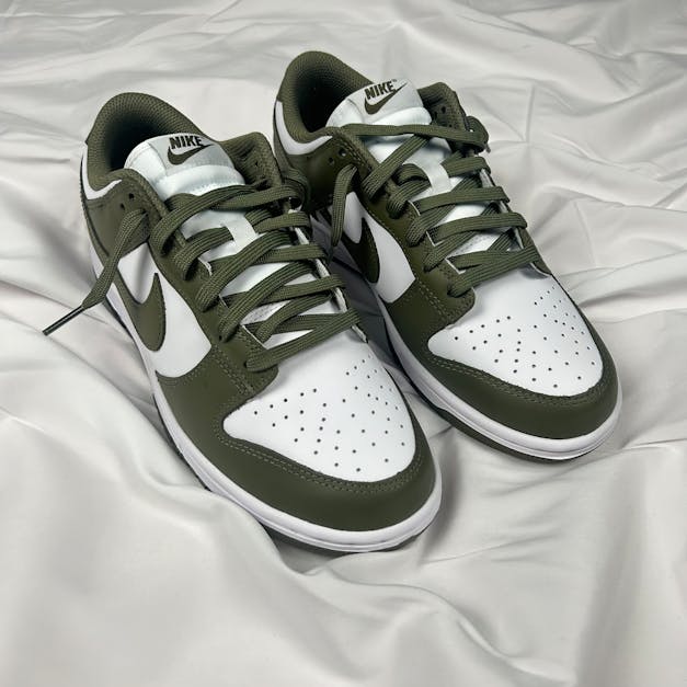 Nike Dunk Low Medium Olive · Free Stock Photo