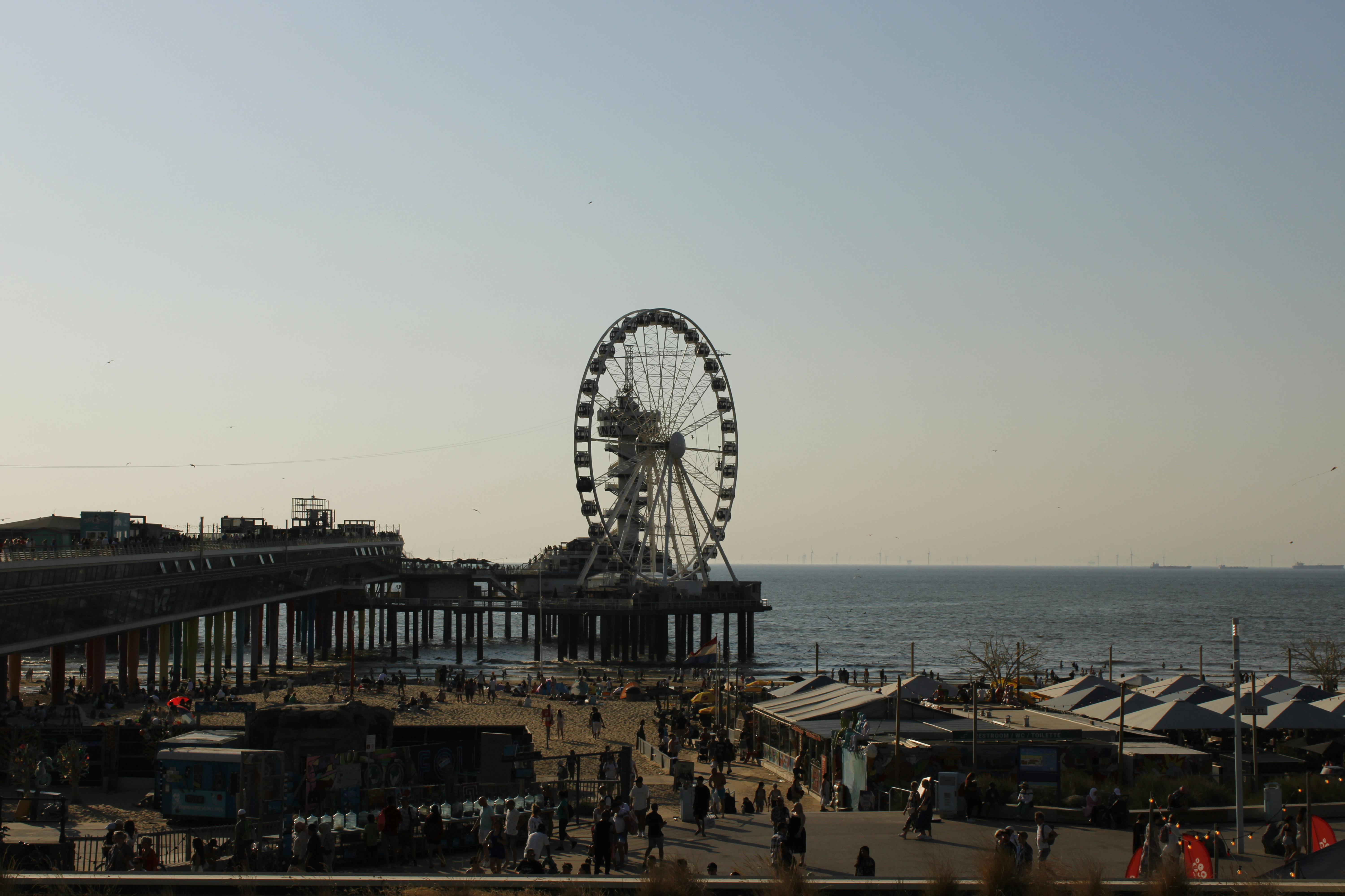 Hollanda'nın Lahey şehrinde parkta oynayan çocuklar ve sahil kenarında vakit geçiren mutlu bir aile.