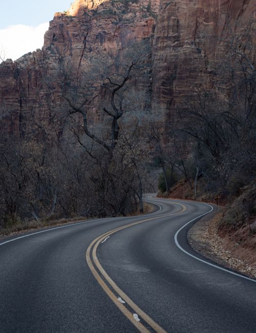 Winding road through the dramatic cliffs of Zion National Park, ideal for travel and adventure imagery.