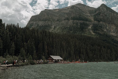 Forest and Mountain over Lake