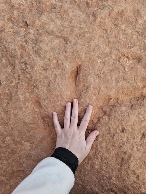 Close-up of a Person Touching a Brown Rock 