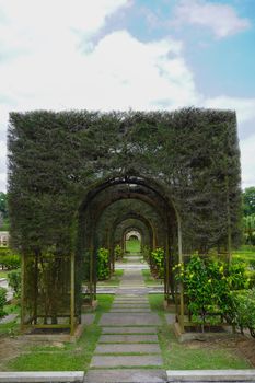 Lush green pergola arches over a serene path in Taman Botani, Johor, Malaysia. - Fotografer Sidoarjo