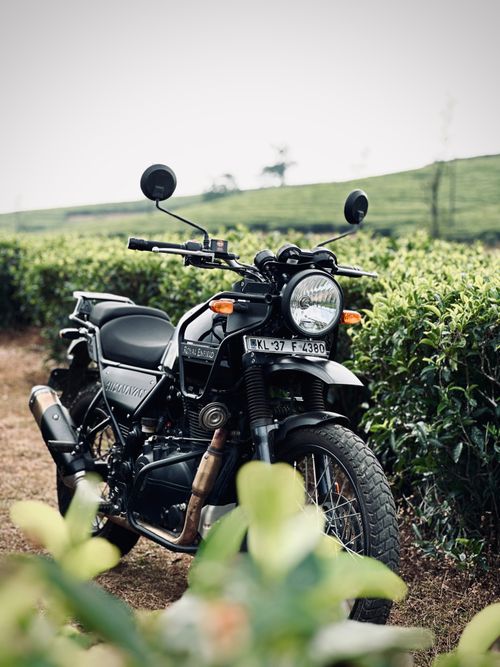 Free Side view of a Royal Enfield motorcycle amidst lush green tea fields in KL, India. Stock Photo