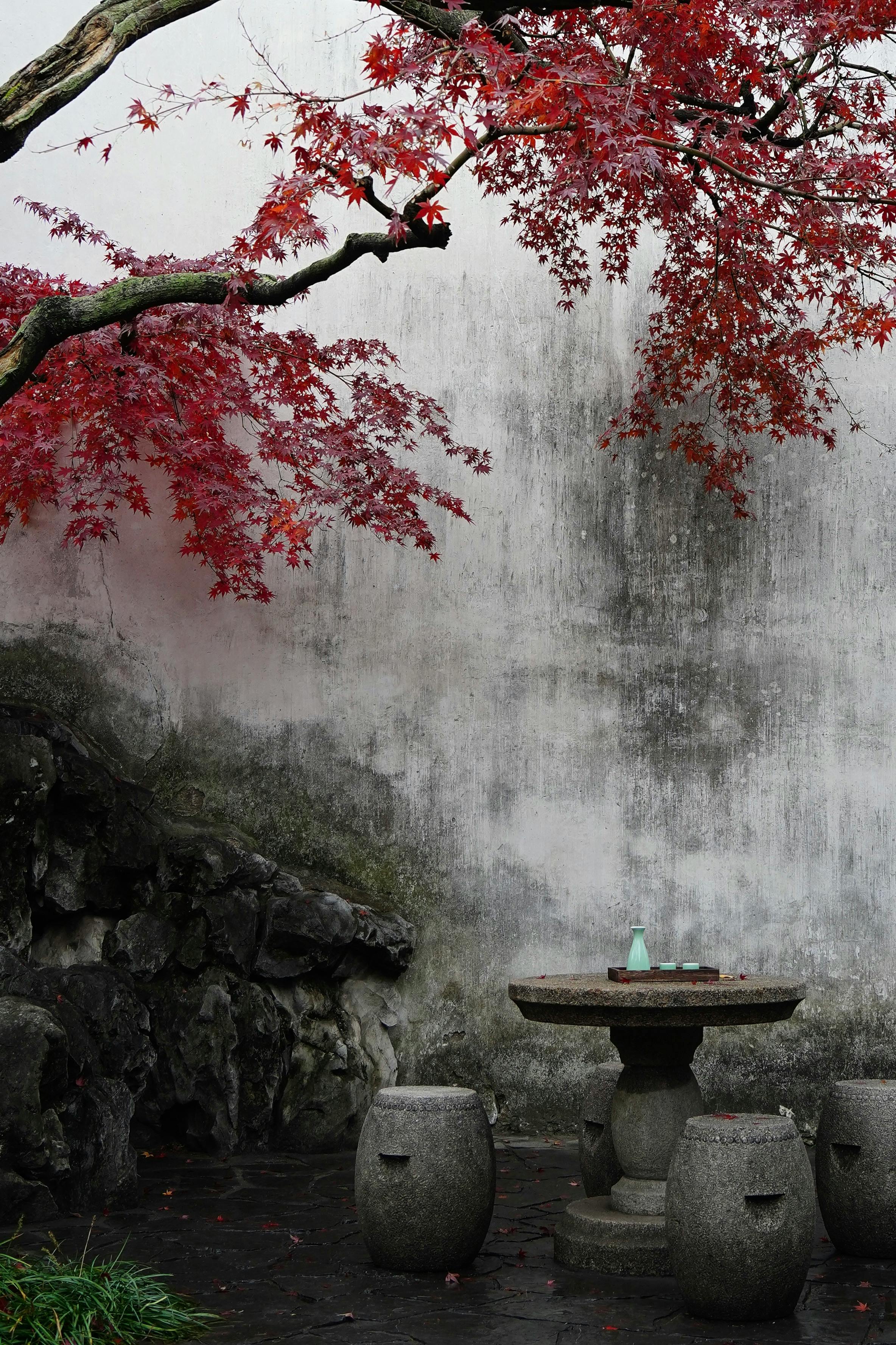 Tranquil Japanese garden with stone seating and vibrant red maple tree.