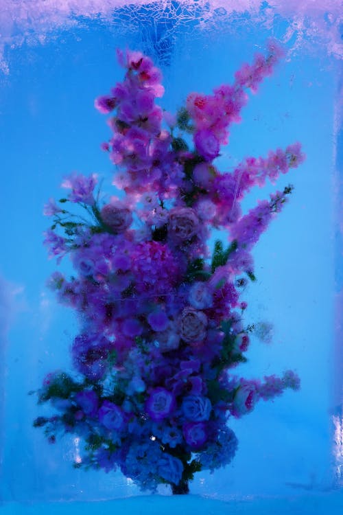 Pink Flowers Underwater 