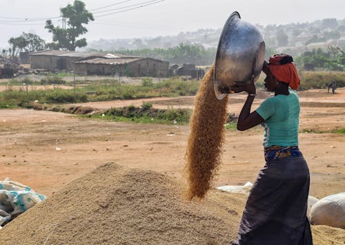 Woman Working on Field