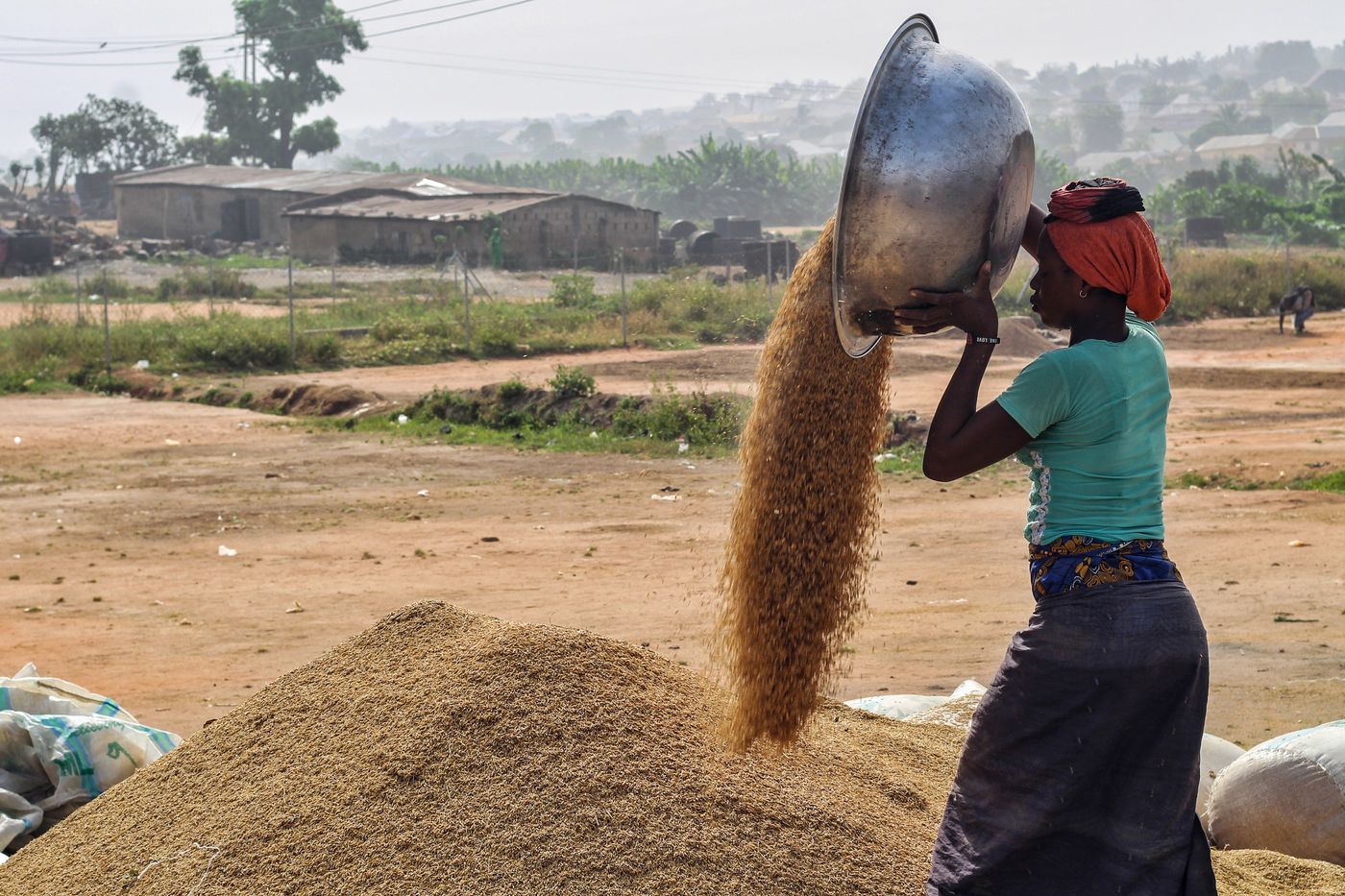 Photo de stock illustrant le travail agricole en Afrique, les cultures ou les soins aux plants
