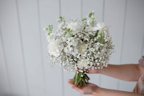 Бесплатное стоковое фото с beautiful bouquet, flowers, белый фон