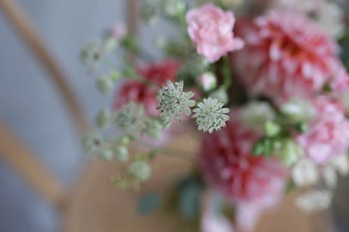 Бесплатное стоковое фото с beautiful bouquet, flowers