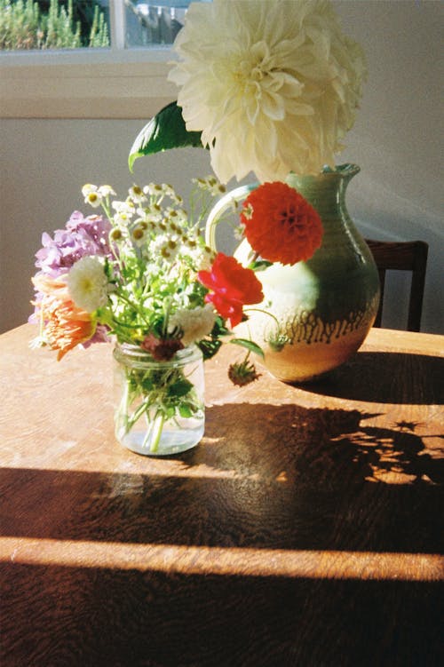 Immagine gratuita di colorato, fiori, illuminata dal sole