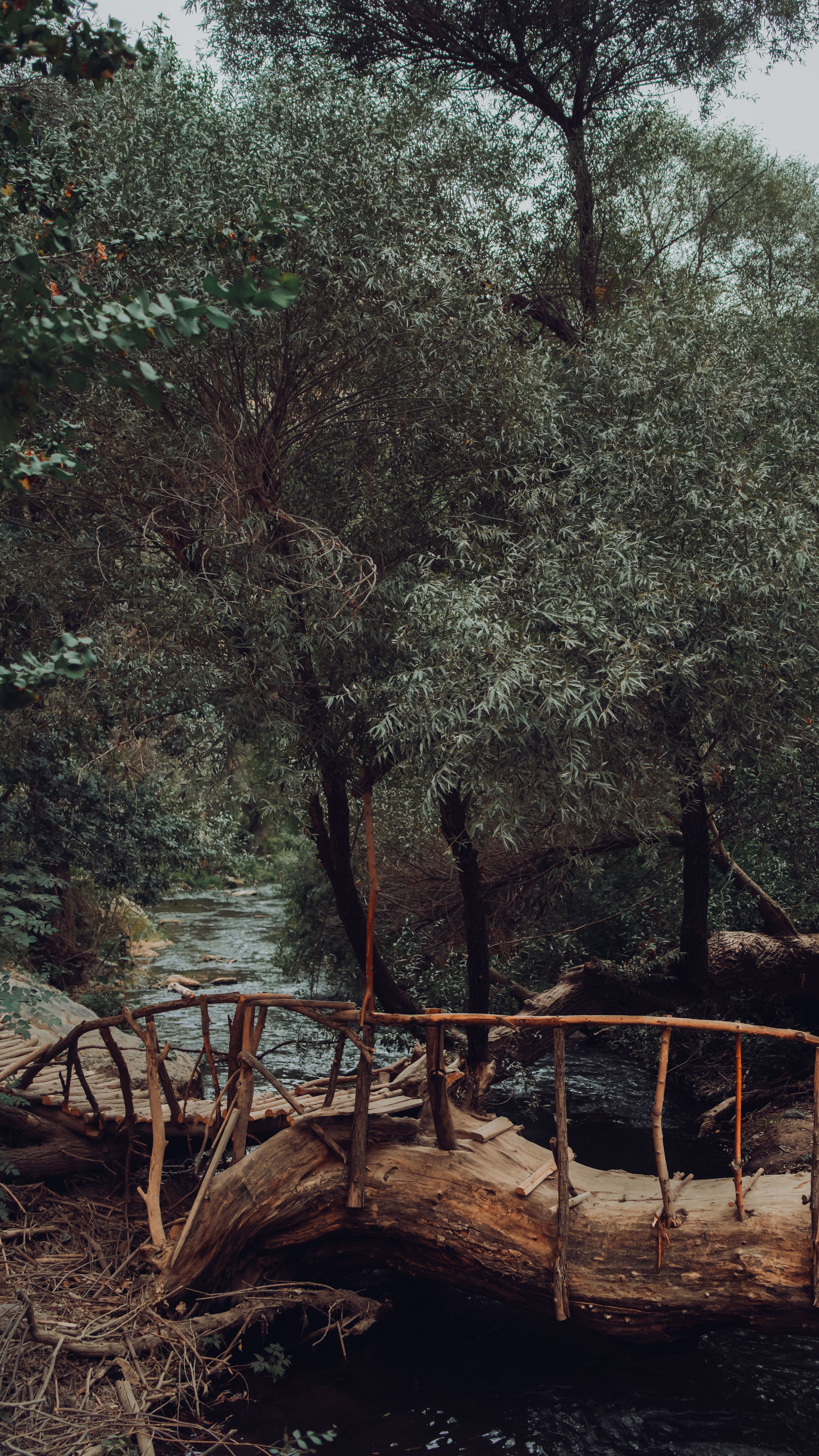 A rustic wooden footbridge crosses a serene forest stream, surrounded by lush green trees.