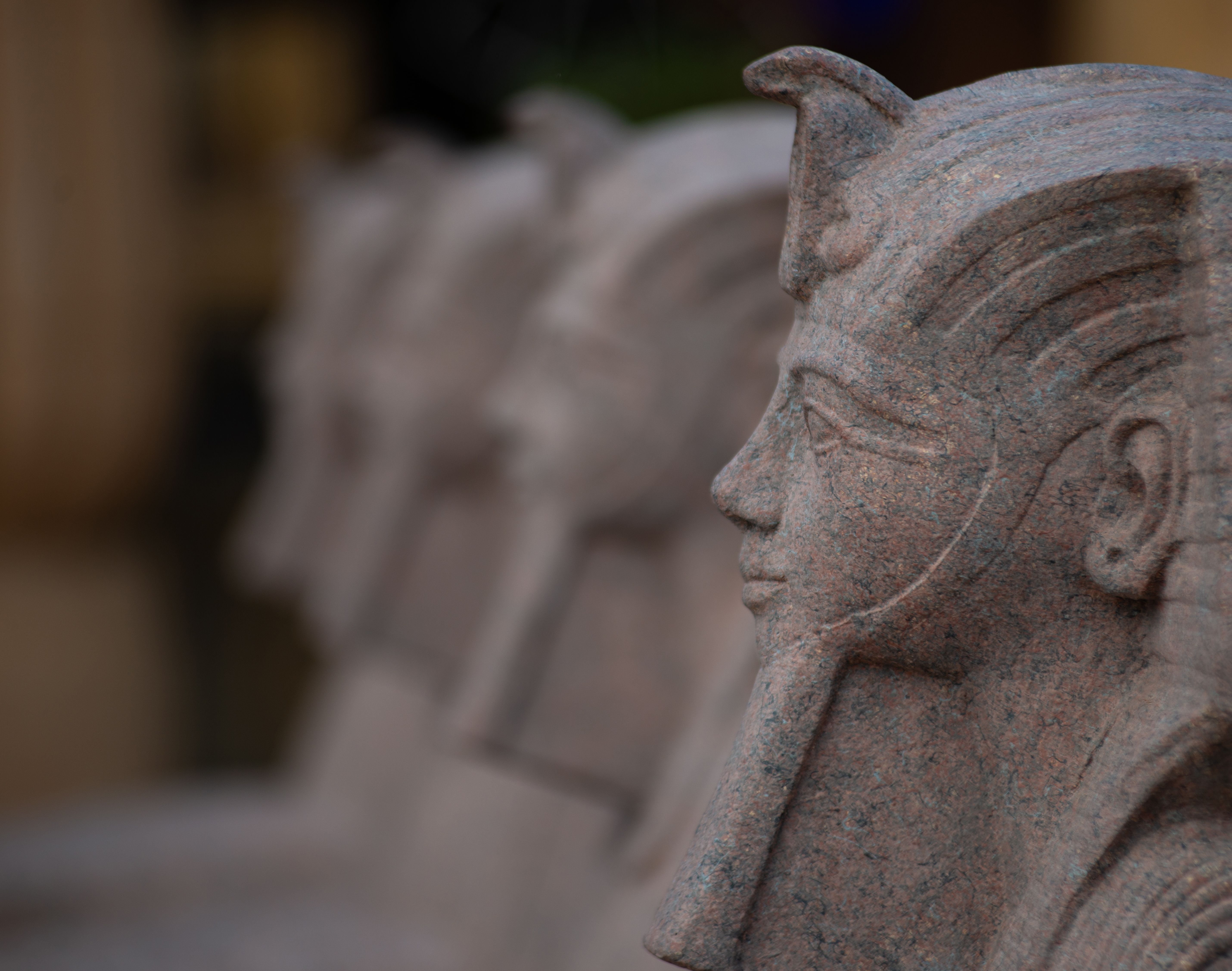 Egypt bars alimony defaulters from leaving country as family law reforms loom — Photo by Александр Лич on Pexels