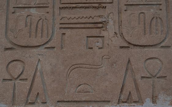 Close-up of ancient Egyptian hieroglyphs carved on a sandstone wall, showing iconic symbols and inscriptions.