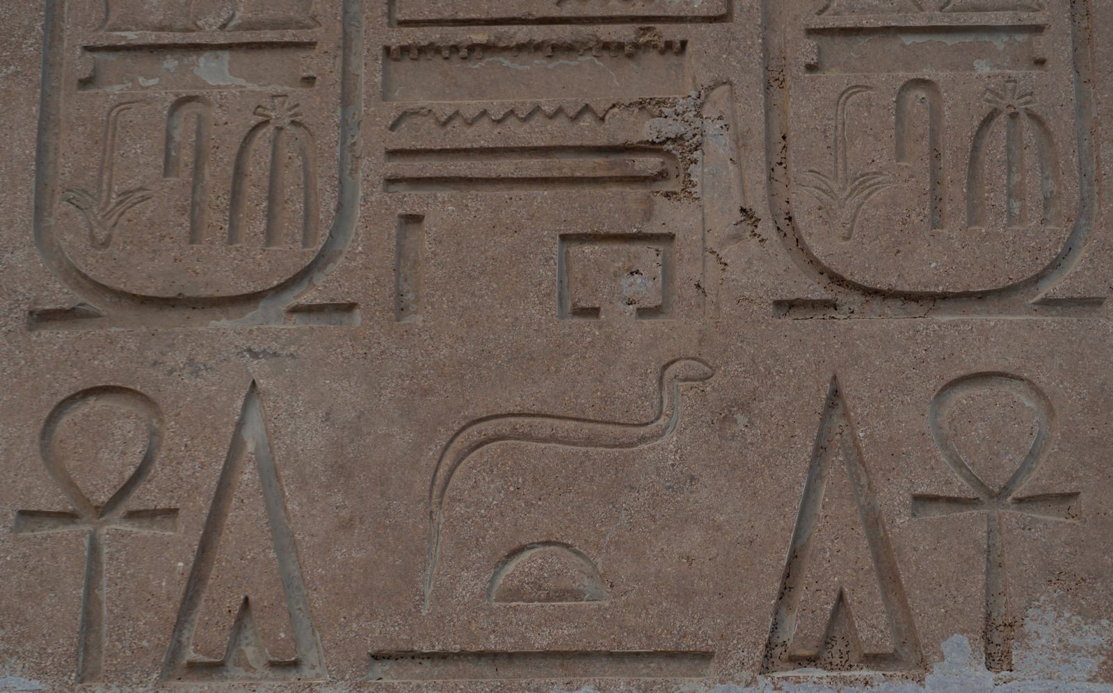Ancient Egyptian Hieroglyphic Wall Art in Temple · Free Stock Photo