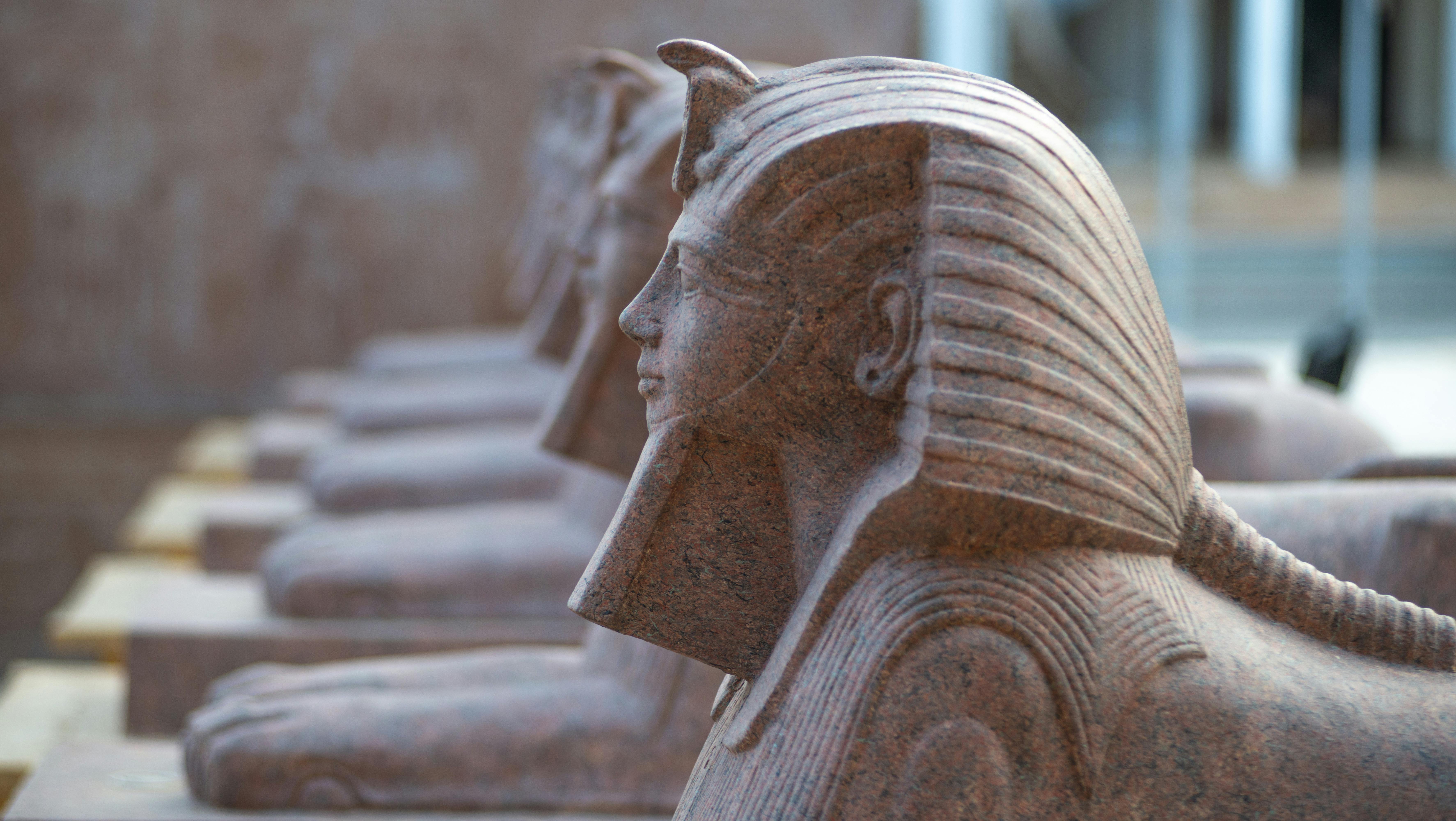 Egypt bars alimony defaulters from leaving country as family law reforms loom — Photo by Александр Лич on Pexels