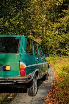 A classic vintage green car parked on a scenic autumn road lined with colorful trees.