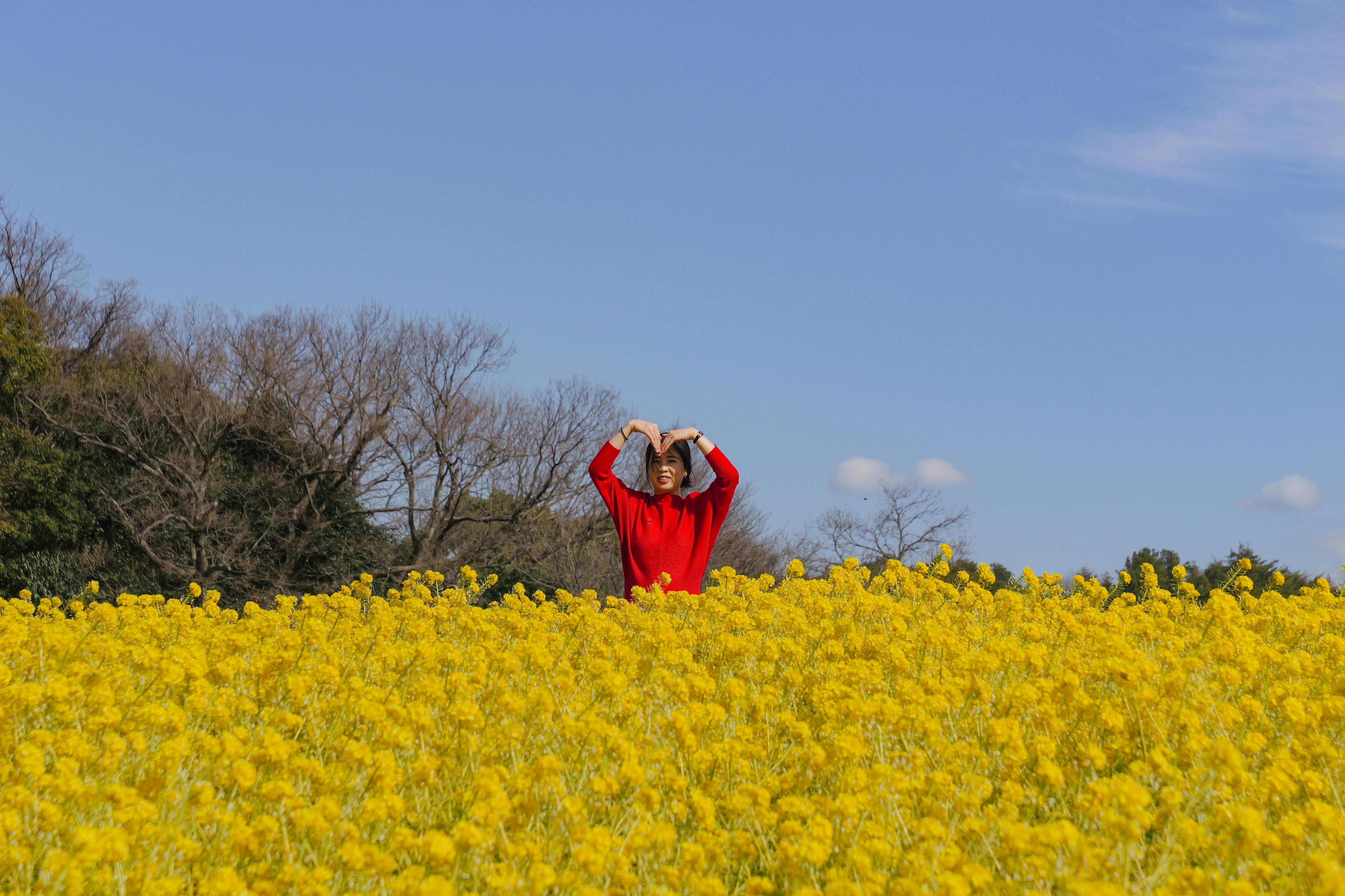 A woman in red poses amidst a vibrant yellow flower field in rural Japan.
