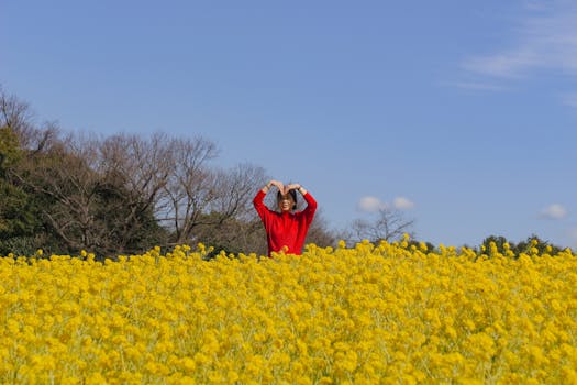 A woman in red poses amidst a vibrant yellow flower field in rural Japan.