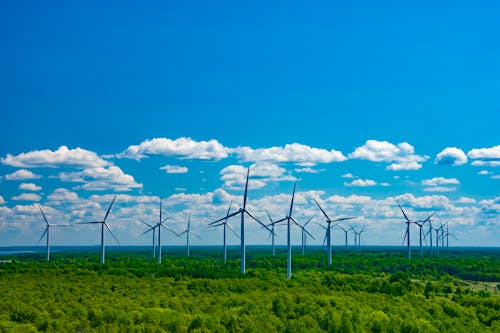 Gratis stockfoto met alternatieve energie, bomen, Bos