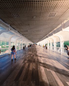 Image by Thalles Cazaroto