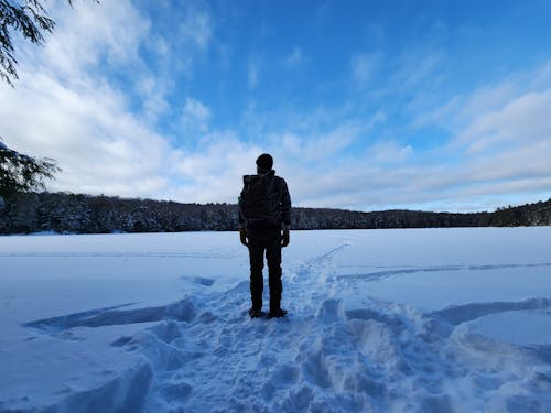 Foto profissional grátis de caminhada, campo, com frio