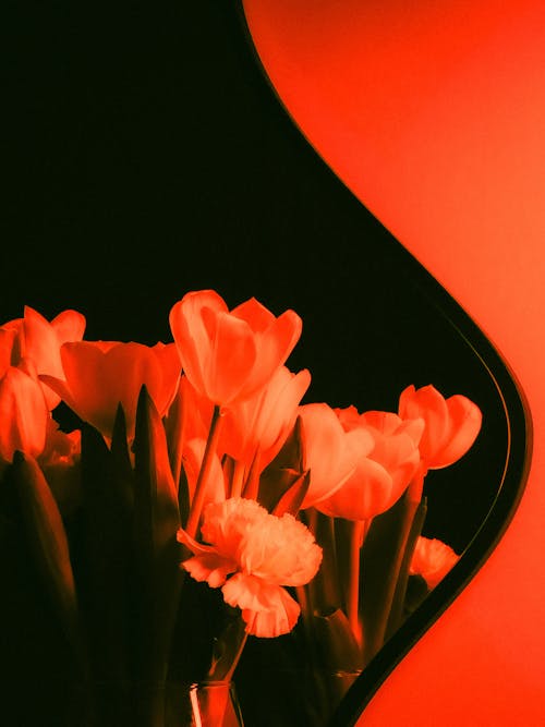 Ücretsiz Çiçekler, Demet, dikey atış içeren Ücretsiz stok fotoğraf Stok Fotoğraflar