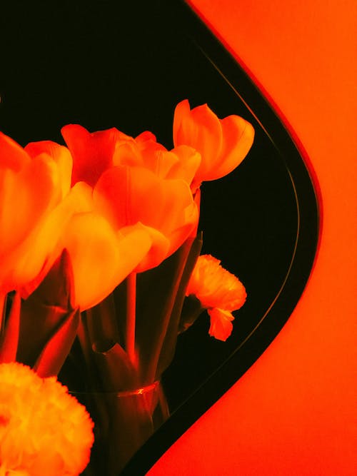 A vase of flowers with orange and yellow lighting