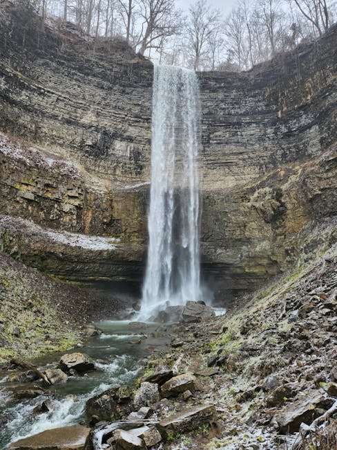 Optimal Performance and Versatility of the Hamilton Beach Power