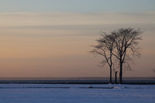 Free Serene winter sunset over Stamford, CT coastline with bare trees and snow-covered ground. Stock Photo