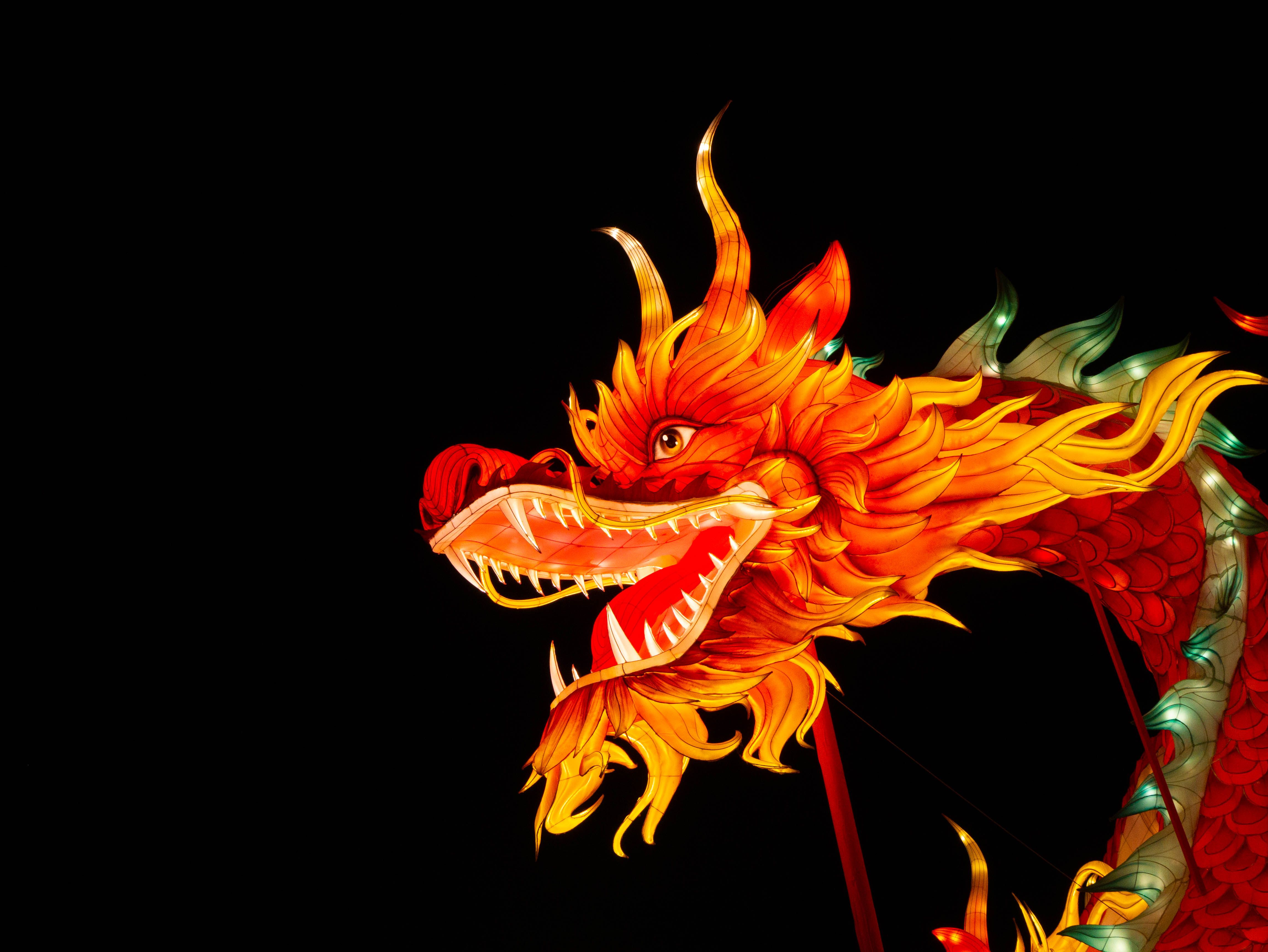 Colorful illuminated dragon lantern glowing against black night sky.